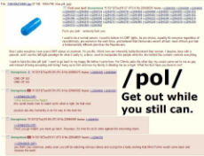 4chan_pol_ - Get out while you still can - (2013).jpg