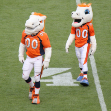 Miles_the_Denver_Broncos_Mascot.jpeg