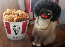 Cat in black face with fried chicken.jpeg