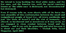 8 - We will keep bashing until the White Race is destroyed.jpeg