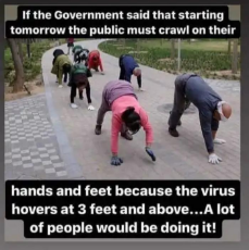 government-virus-3-feet-hands-knees.jpeg