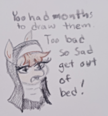 3063247.jpeg