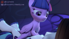 1034068__twilight sparkle_explicit_shipping_straight_princess twilight_animated_sex_3d_shining armor_bed.gif