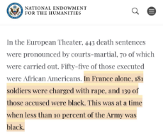 nigger_rape_France.jpg