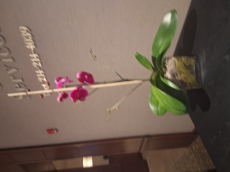 20260215_062926.jpg