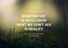 1166264075-what-we-see-is-an-illusion-what-we-dont-see-is-reality.jpg