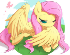 Fluttershy-image-fluttershy-36785797-1007-794-242116887.png