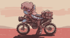bike.png