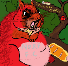 norfsquirrel.jpg