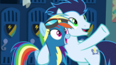 My Little Pony - Ponies - Check'em.png