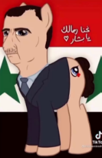 mlp_assad_pony-1.mp4