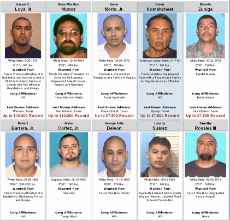 white_male_criminals.gif