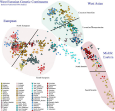 eurasian_genetic_continuums.jpg