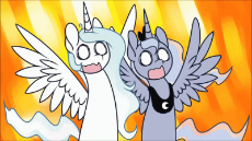 2417315.gif