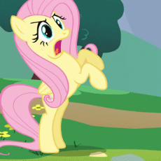 3248005__safe_derpibooru+import_fluttershy_pegasus_pony_g4_sonic+rainboom+(episode)_animated_cropped_female_gif_image_mare_solo_text_yay.gif