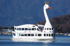 4a6ed4ef261e509e30_Swan 1.jpg
