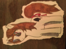 99B5C06C-5AE9-453E-9F17-4A36850BD7A6.jpeg