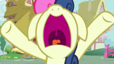 1041081.png