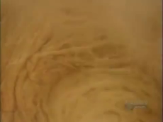 What is Triple milled Soap [CaNWQopo6aY].mp4