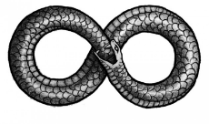 image_2025-05-03_023808085.png