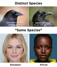 black is not a race its a species.jpg