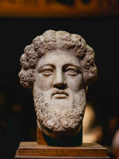 ZEUS.jpg