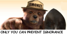 smokey-bear-only-you-can-prevent-ignorance.jpg