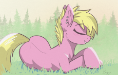 silverflank.png