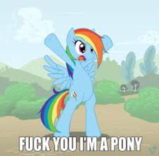 fuck you I'm a pony.jpg