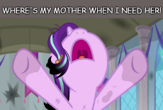 stay-fullview.jpg