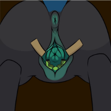 BugParts.webm