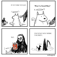 images.png