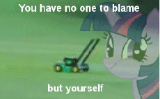You have no one to blame b….gif