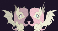 6934680__safe_artist-colon-kamikiririp_imported+from+derpibooru_fluttershy_bat+pony_pegasus_pony_bat+ponified_black+background_duality_duo_flutterbat_looking+at.jpg