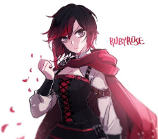 1ec162135e17a9e27558b689504e1d0a--rwby-anime-rwby-ruby-rose.jpg