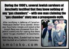 HolocaustHolohoaxMeme2.jpg