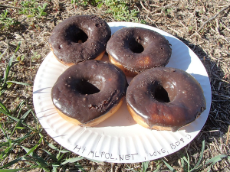 donutsformlpol.jpg