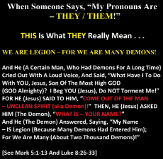 Crazy people mentioning their pronouns are demonic posessed.jpeg