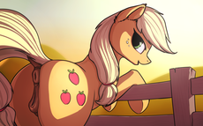 1341509__artist needed_explicit_applejack_anatomically correct_anus_bipedal_bipedal leaning_cutie mark_dark genitals_dock_fence_leaning_looking at you_.png
