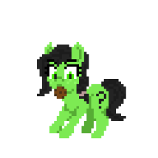 Filly Cookie Big.png