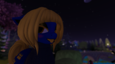 Snapshot_405.png