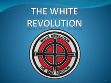 thewhiterevolution.jpg
