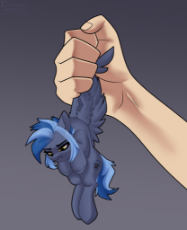 large (48).png
