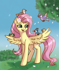 3774120__safe_artist-colon-kate+sparkls_derpibooru+import_fluttershy_bird_pegasus_pony_g4_flower_image_png_spread+wings_wings.png
