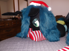 DSCF5182.JPG