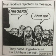 redditors_rejected_hogan's_message.jpg