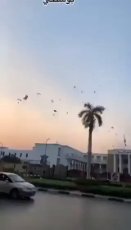 1696832993895922.webm
