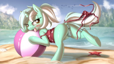 Lyra at the beach.jpg