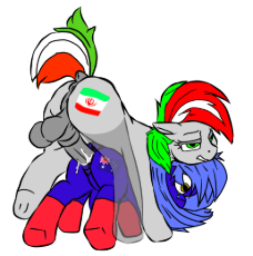 aussie hoers.png