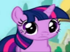 images (22).jpeg